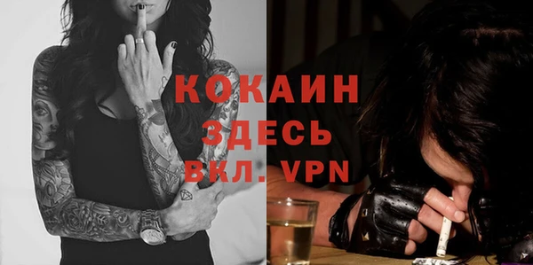apvp Арсеньев