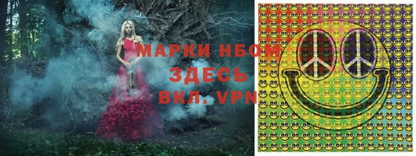 apvp Арсеньев